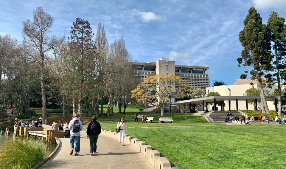 Cần biết rõ về học phí khi tính toán chi phí du học New Zealand.