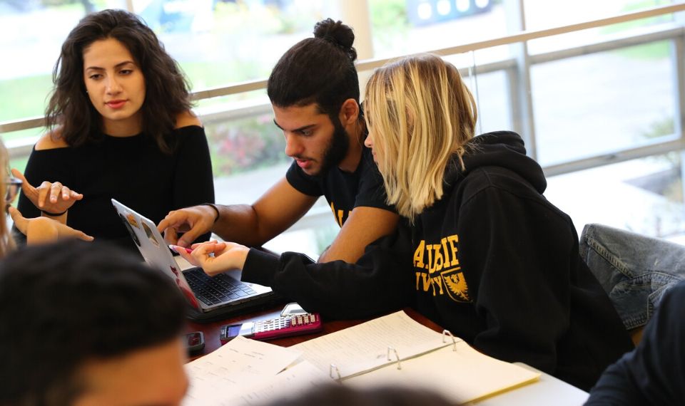 90% sinh viên Đại học Dalhousie gặt hái được thành quả từ chương trình thực tập.