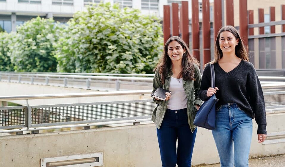 Kế hoạch học tập nằm trong bộ câu hỏi của Lãnh sự quán Kế hoạch học tập nằm trong bộ câu hỏi của Lãnh sự quán