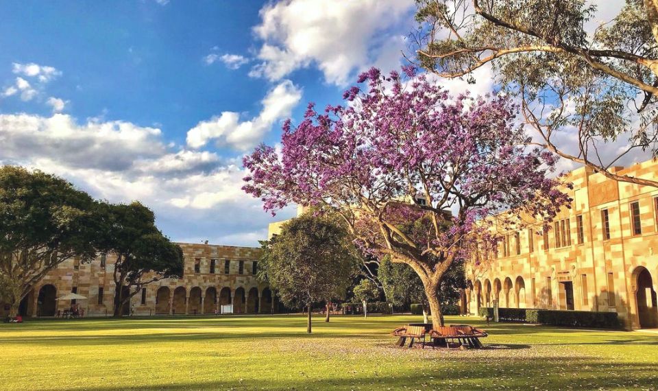 Tòa nhà chính của học xá St Lucia mang vẻ đẹp cổ kính.