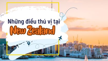 5+ điều thú vị ở đất nước New Zealand, xếp hạng giáo dục top đầu