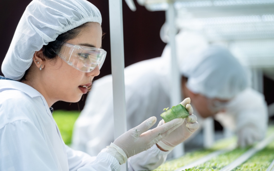 Ngành Nông nghiệp và khoa học môi trường