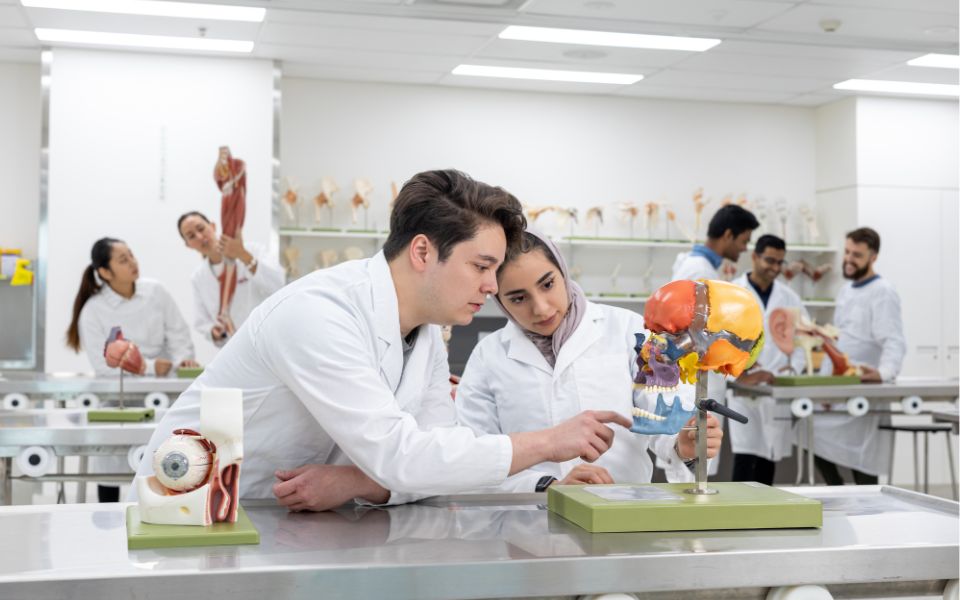 OET là một loại chứng chỉ tiếng anh du học úc