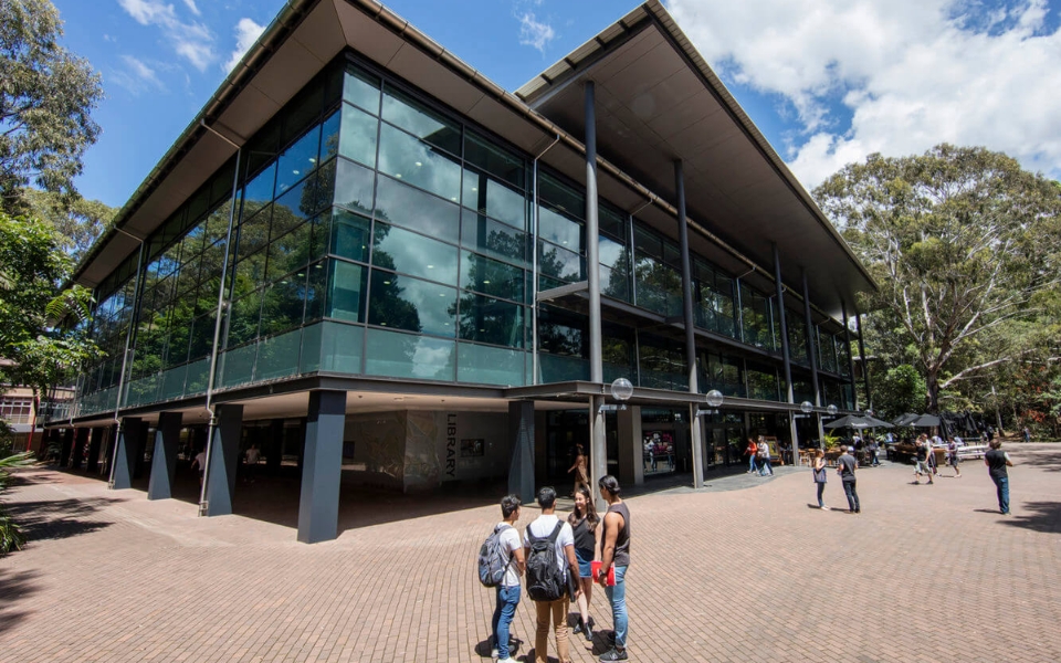 Wollongong Global Pathways